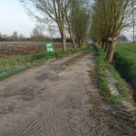 Trage wegen
