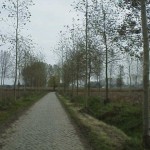 Wase Poldervertelling in Rupelmonde